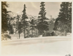 Image: Winter scene at camp